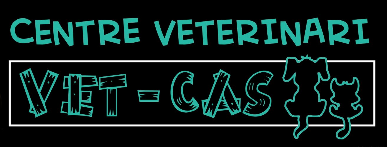 VET CASt88